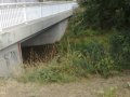 Most U Koldů přes Živný potok s vodočetnou latí