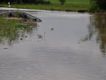 Povodeň Moravec 2009