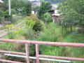Pohled na Červenovodský potok s četnými mostky v obci Červená Voda_IV