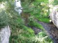 Skorošický potok v místní části Tomíkovice II