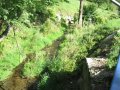 Skorošický potok v místní části Tomíkovice