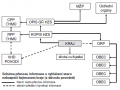 schema_6