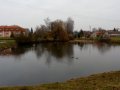 Malý rybník v Plaňanech