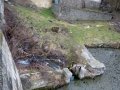 Hradenín - most na hrázi rybníka u č. p. 77 - místo omezující odtokové poměry