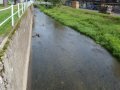 Bystřice v Mariánském údolí u společnosti Mora