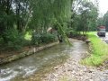 Charakter toku řeky Moravy v Dolní Moravě_V