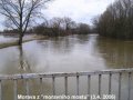 Morava z "Moravního mostu" v době povodňové situace 3. 4. 2006 (Zdroj: Obec Troubky)