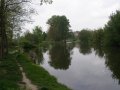 Řeka Jihlava pod intravilánem městyse ř. km 20,800 (po proudu)