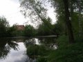 Řeka Jihlava pod intravilánem městyse ř. km 20,800 (proti proudu)