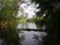 Jihlava proti proudu u hlásného profilu kat. A Přibice ř. km 7,480