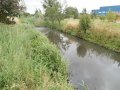 Petříkovický potok se zatravněnými břehy