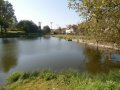Malá Bukovina - rybník v intravilánu obce (prostřední)