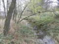 LBP Sychrovského potoka před zaústěním do Huťského rybníka - město Dobříš