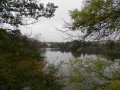 Pohled na rybník Koryto z ulice Part. Svobody