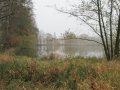 Pohled na rybník U Dvořáčkova mlýna u osady Malý Mlýnek