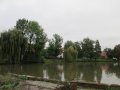 Dobročovický rybník v centru obce
