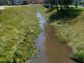 Charakter vodního toku Ludkovický potok v intravilánu obce Biskupice