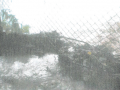 Fotografie z dopisu pana Kindla po povodni 2013 - naplaveniny na plotech oddělující jednotlivé pozenky