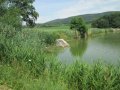 Komárov - Řídečský rybník, v katastrálním území obce Řídeč
