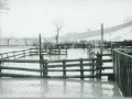 povodeň v roce 1987