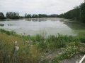Měrovický rybník - nad obcí