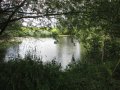 Pohled na rybník Studenáč I