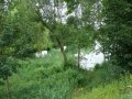 Simtanský rybník - obec Pohled