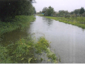 Povodně 2013 - rozvodnění vodního toku Skalička