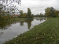 Rybník Za Koláčkovým v obci Opatovice
