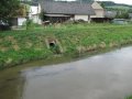Vyústění pravého přítoku (Bezejmenný vodní tok IDVT 10191517) do Třebůvky
