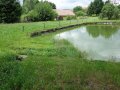 Kovářov u Seče - rybník v jižní části Kovářova	
