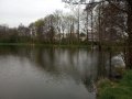 Edrovický rybník