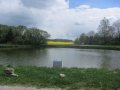 rybník U Zahrádek - nad obcí