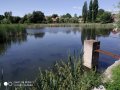 Chotouchovský rybník - požerák