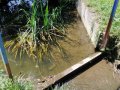 Chotouchovský rybník - přepad do obtokového kanálu Polepky