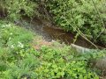 Provizorní opevnění toku a materiál v korytě v ř. km 2,74